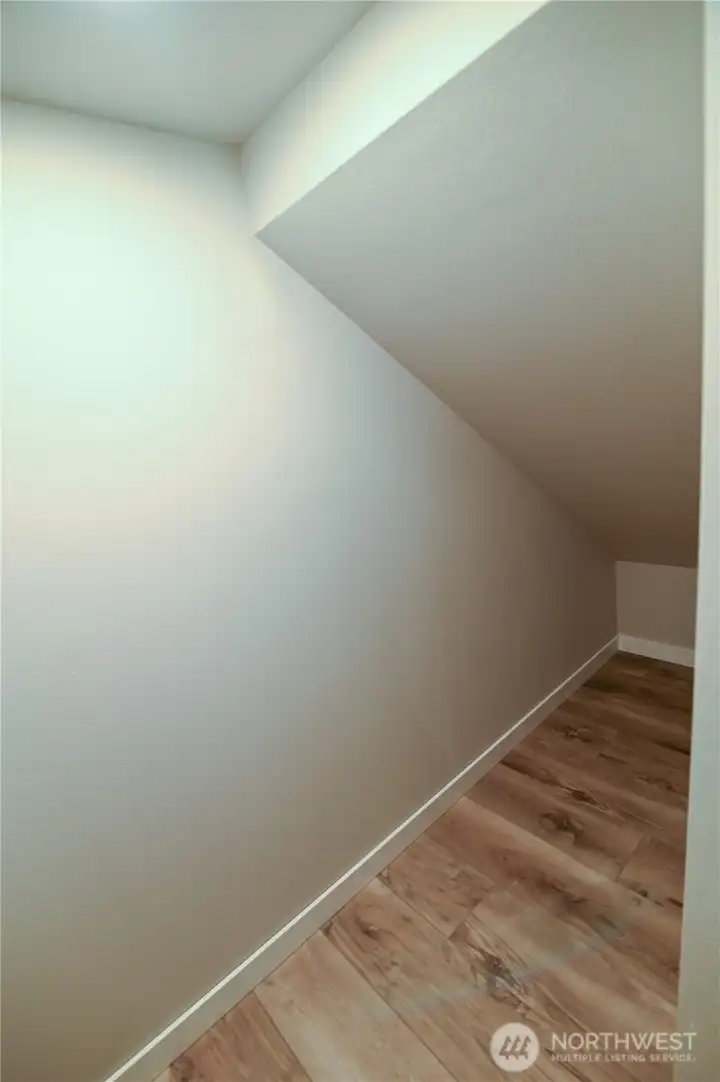 Under stair closet