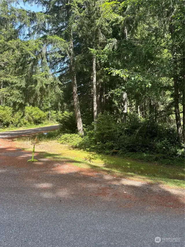 Lot close to amenities and all that Anderson Island has to offer.