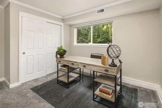 5th Bedroom/Office (Lower Level)