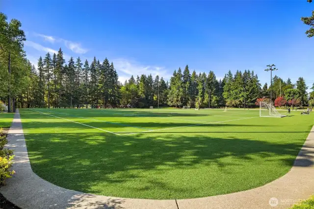 Sports Fields