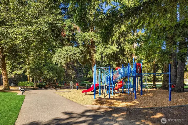 Two Playgrounds