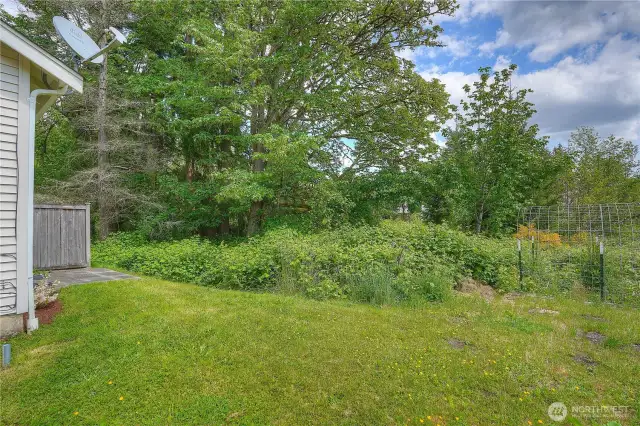side yard