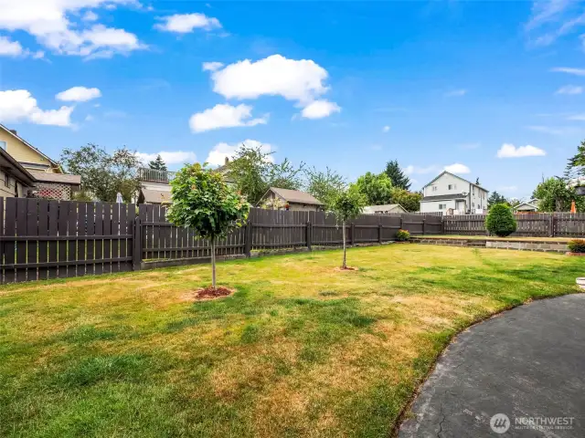 Amazing yard!