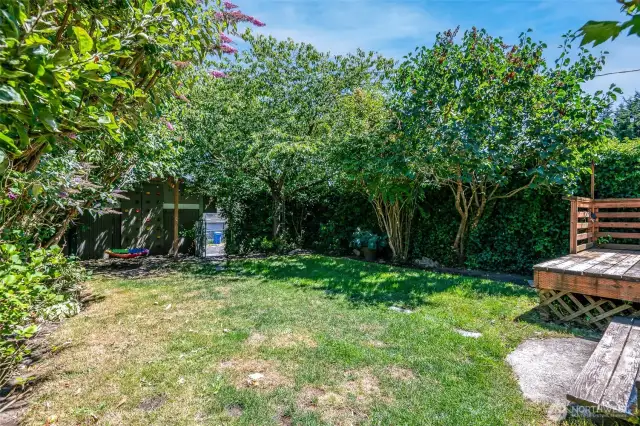 The yard always has something in bloom! Butterfly bush, cherry blossom, lilacs, peonies, tulips, hydrangeas. It’s a real gardeners yard.