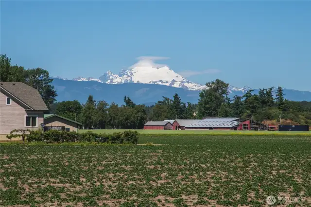 Mt. Baker view from edge of property