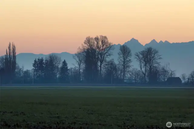 Landscape photo taken from a field near the house
