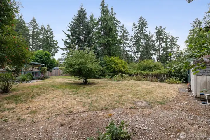 Private back yard.