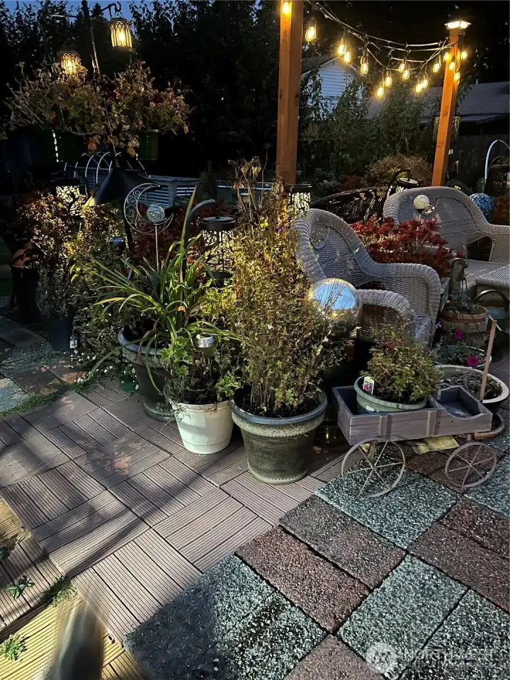 pic of out doors at night