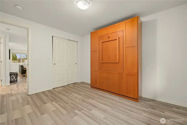Bedroom with Murphy bed and closet