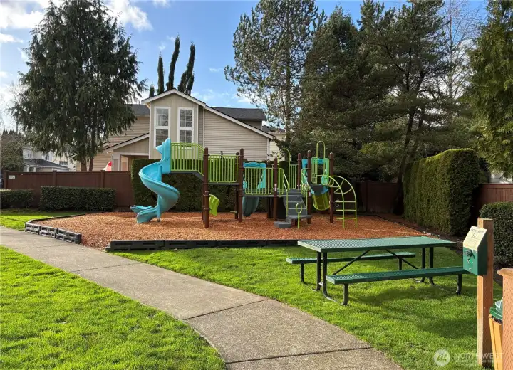 One of the multiple parks in the neighborhood