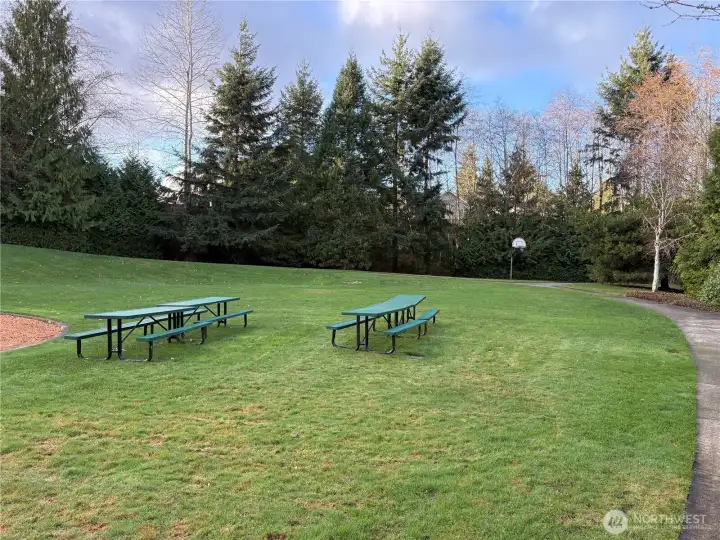 One of the multiple parks in the neighborhood