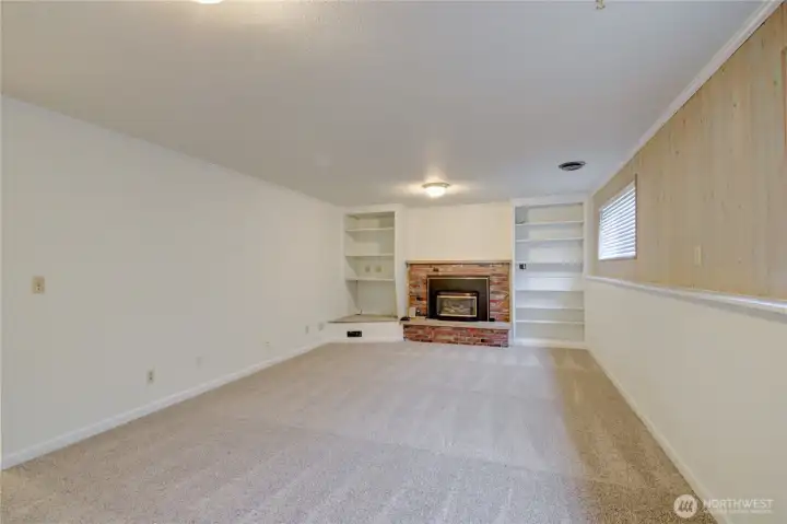Lower level rec room with gas fireplace