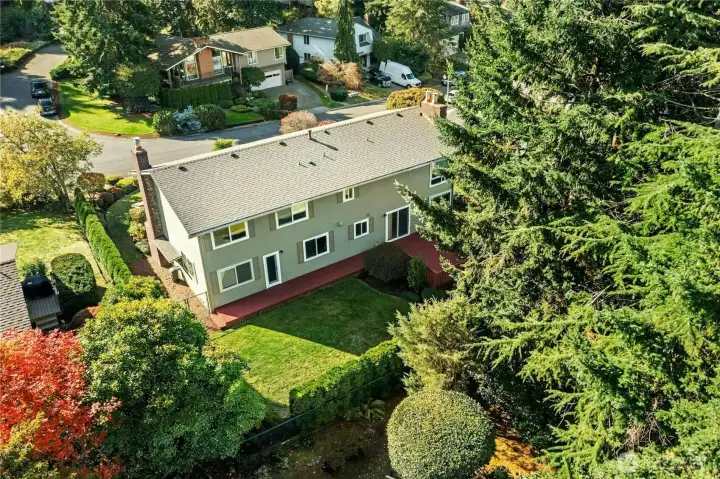 Another look at the backyard. Quiet street in Somerset.