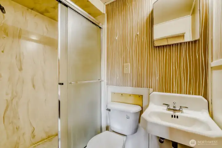 En Suite 3/4 bath in Basement Bedroom. Yes, this one needs a new look, for sure!