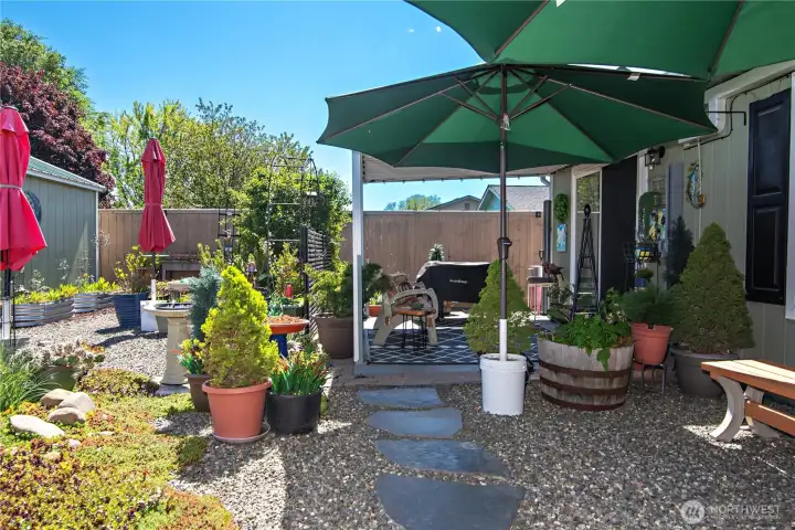 Back Patio