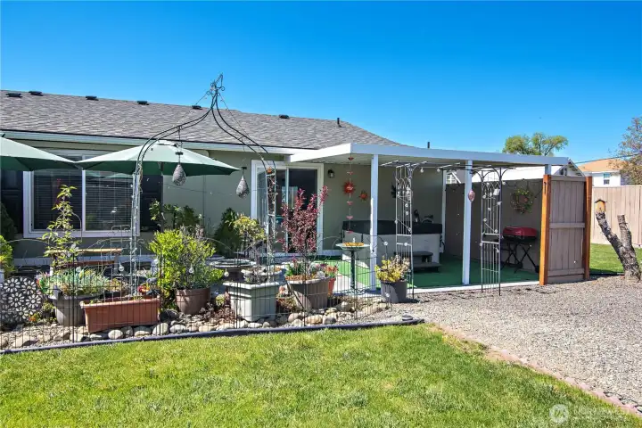 Backyard