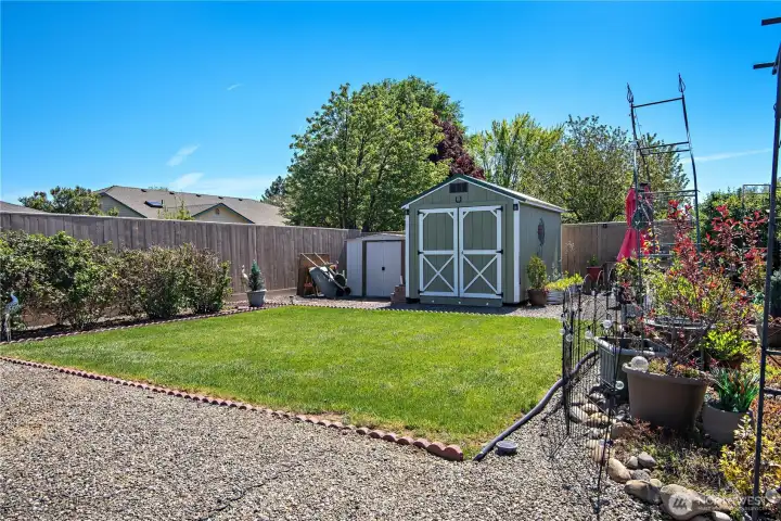 Backyard