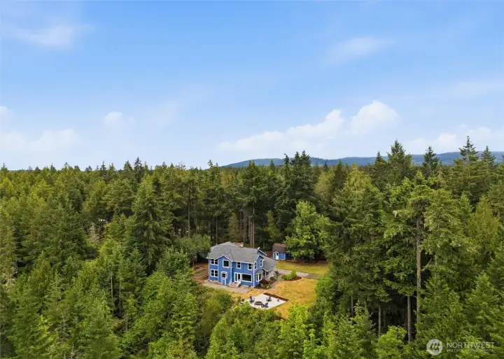 Secluded on over 5 acres Secluded on over 5 acres