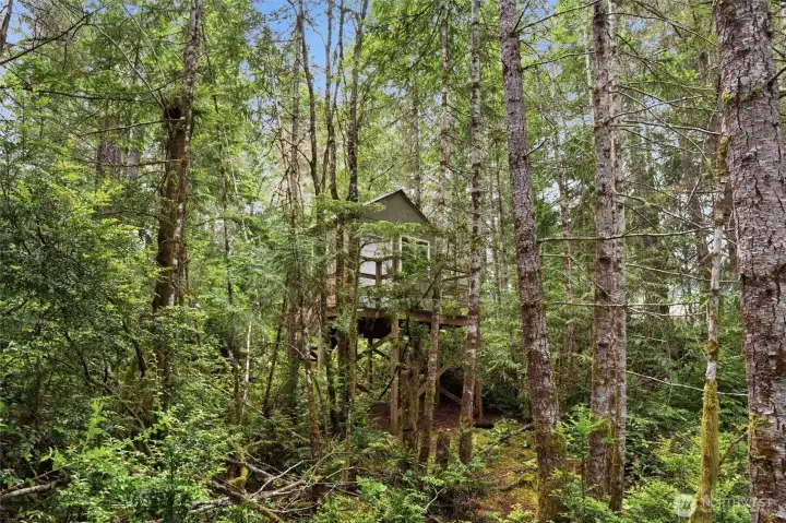 Take the trail to the treehouse in the woods Take the trail to the treehouse in the woods