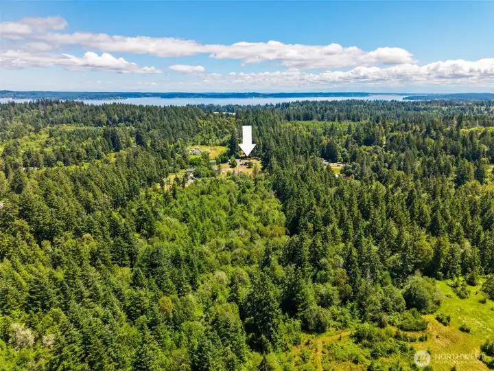 Adding trails? Watching nature on a game camera? This property is truly a mix of all the best that Lakebay living has to offer. Adding trails? Watching nature on a game camera? This property is truly a mix of all the best that Lakebay living has to offer.