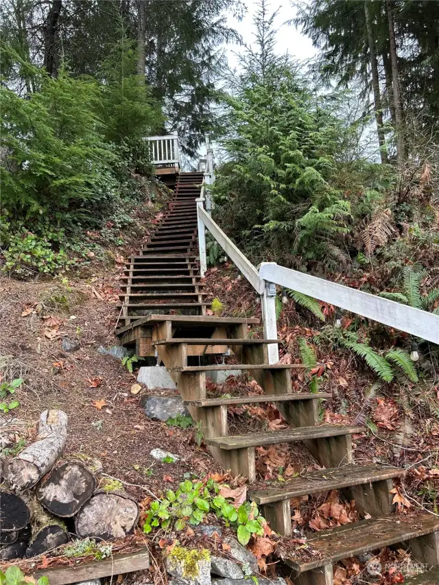 Stairs to keep you fit & enjoying all of your favorite water-sports or the perfect spot to read a book or hang out and swap stories around a fire...love the life you live!