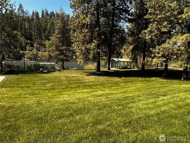 Beautiful grassy backyard/common area.