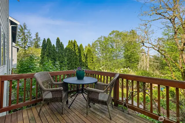 You will love this deck! Feels like you're in a treehouse!  (could use a paint job)