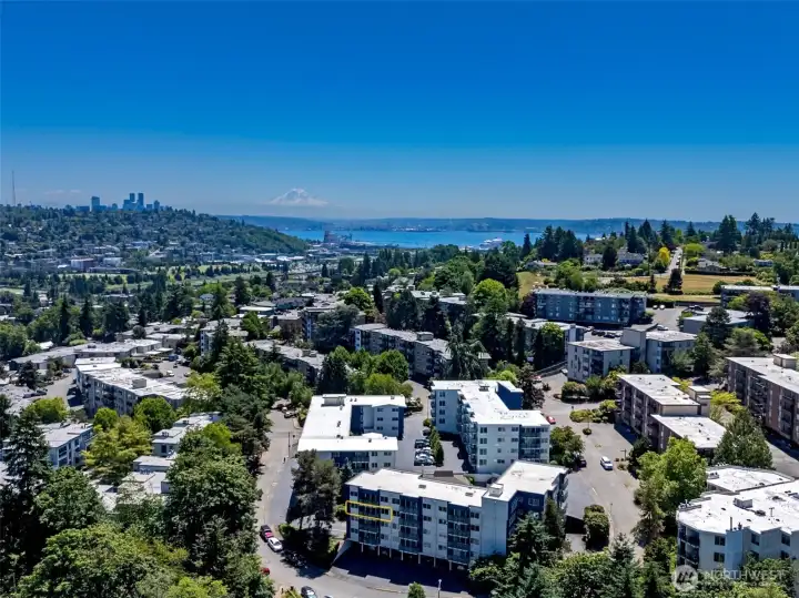 Windy Hills with Seattle & Mt. Rainier in view