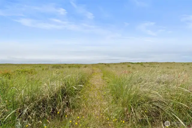 Dunes