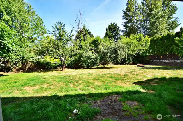 Backyard Area