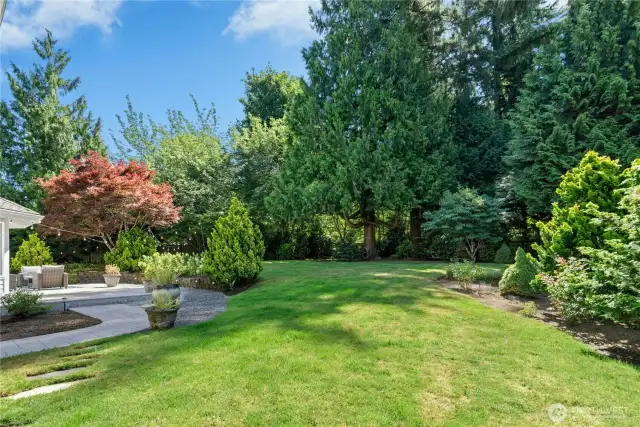 Large grassy area and fully fenced backyard.