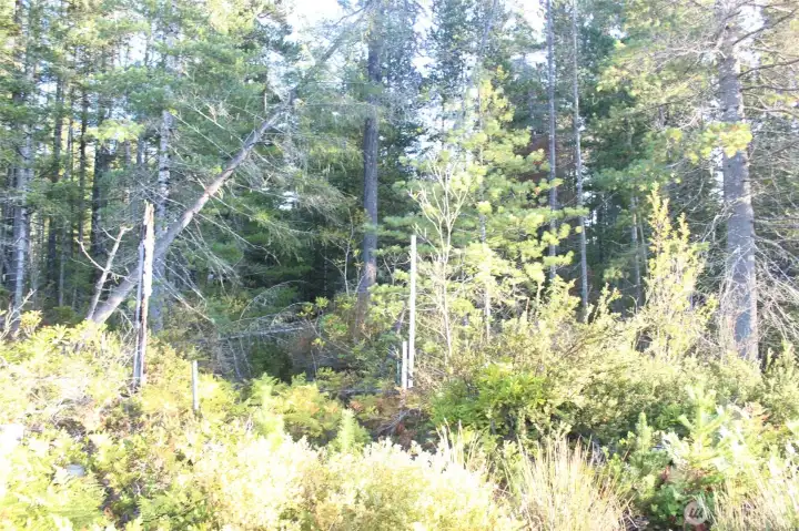 Tall pole is the property line on the West side of land.