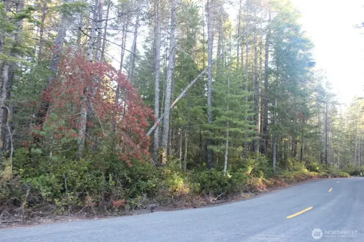 The road and smaller property that is seperate by the Tahuya Blacksmith Road .