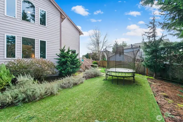 Side yard (trampoline can stay)