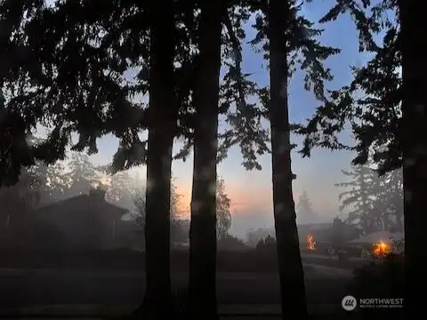 Beautiful misty sunrises...