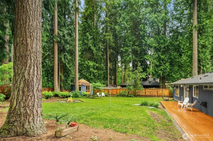 Spacious and private back yard with deck and a hidden yurt, ideal for yoga, glamping or hobby space! Spacious and private back yard with deck and a hidden yurt, ideal for yoga, glamping or hobby space!