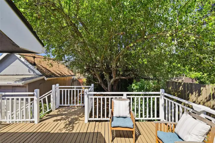 Deck photo