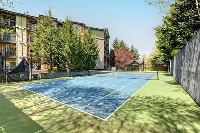 Pickleball-Tennis court