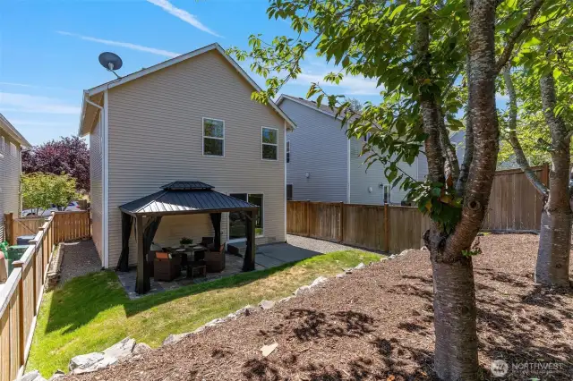 Low maintenance Backyard