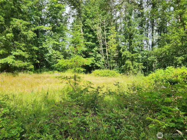 Old Home Site