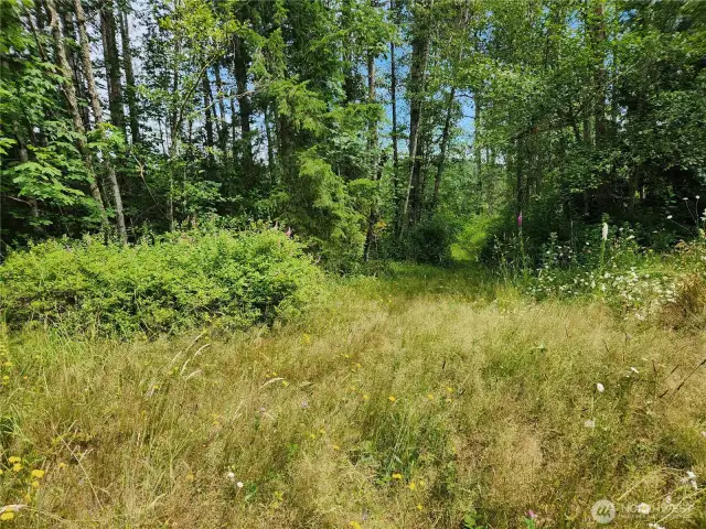 Former Homesite