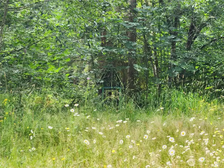 Playhouse on Former Homesite