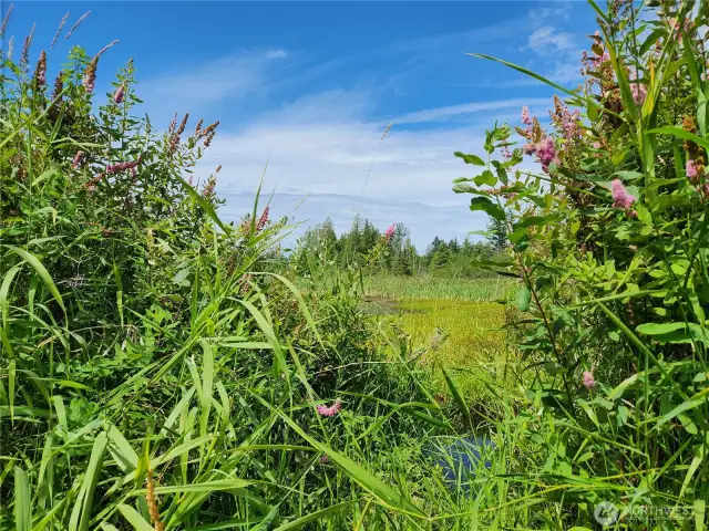 View of Ponds