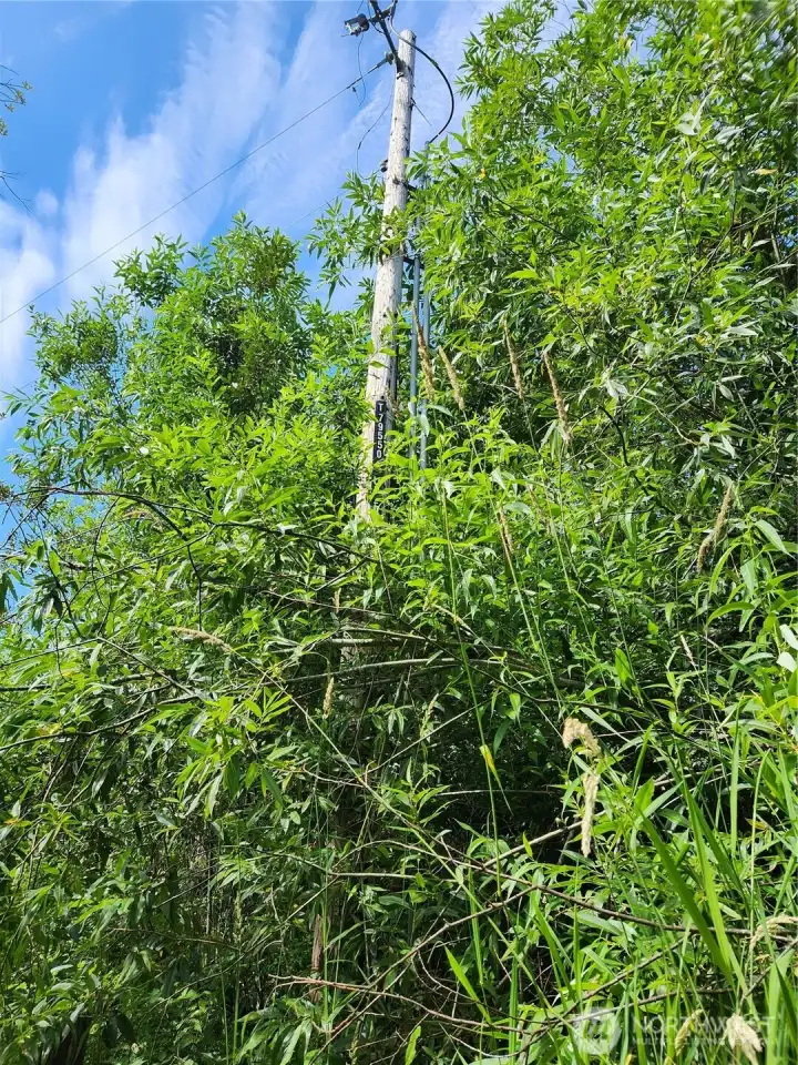 Power Pole at NE Corner of Property