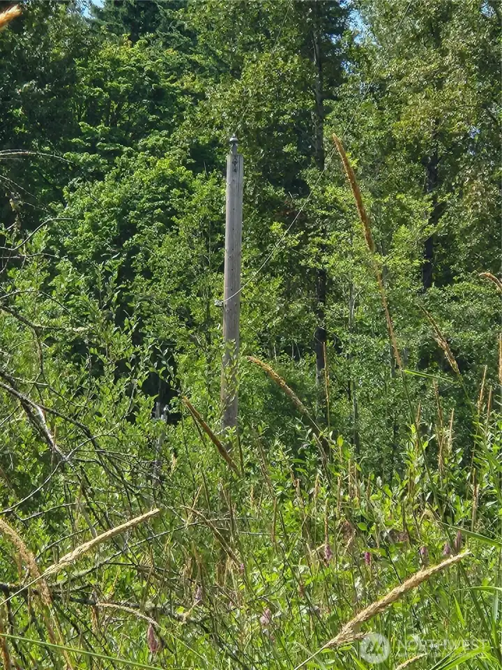 Along E Boundary, Power Poles run N - S