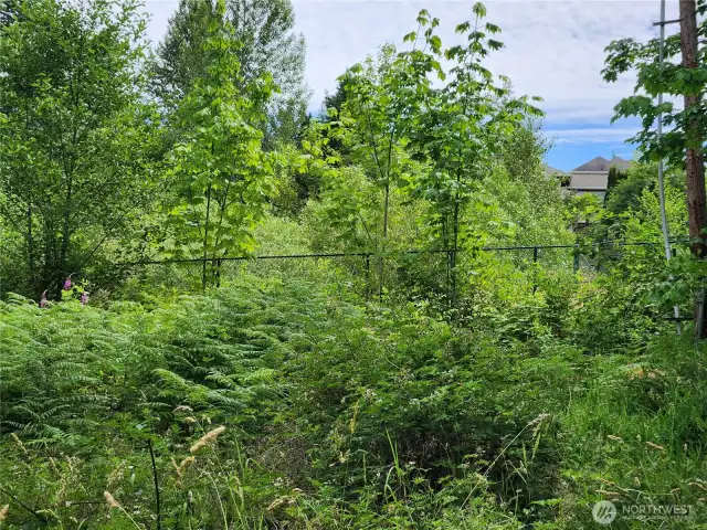 Retention Pond by E Property Line