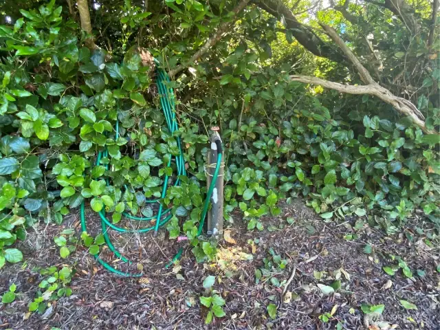 One of two water spigots