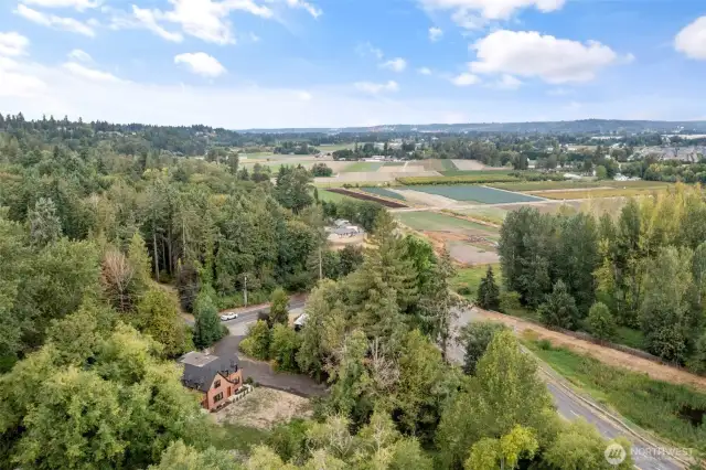 Over 1.5 acres nestled in the Puyallup Valley