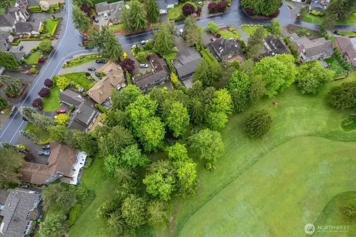 Mature trees  at this bend in the fairway