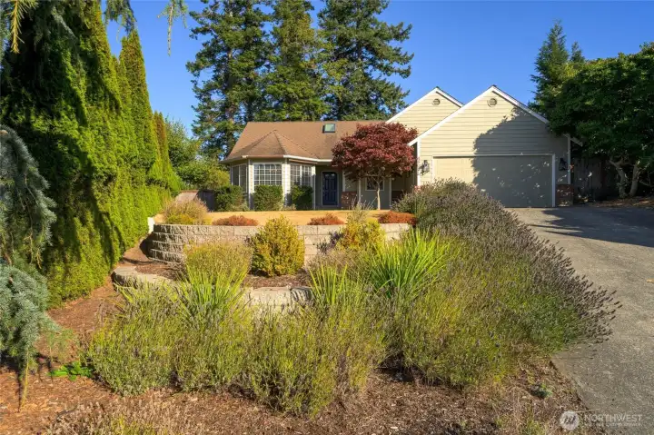 Easy care yard...